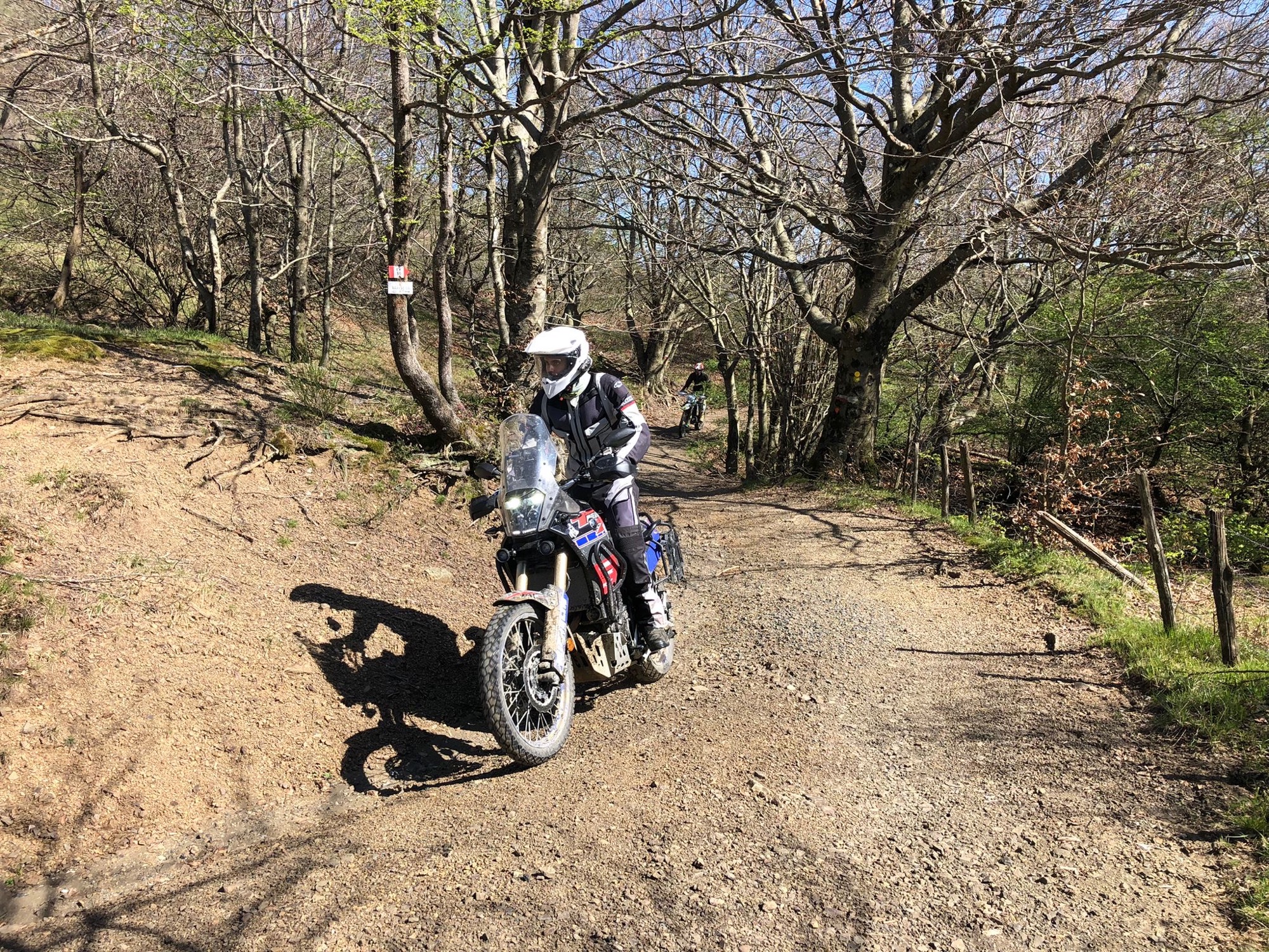 58caec90-8373-4ab5-881f-aa3c6010082f-1