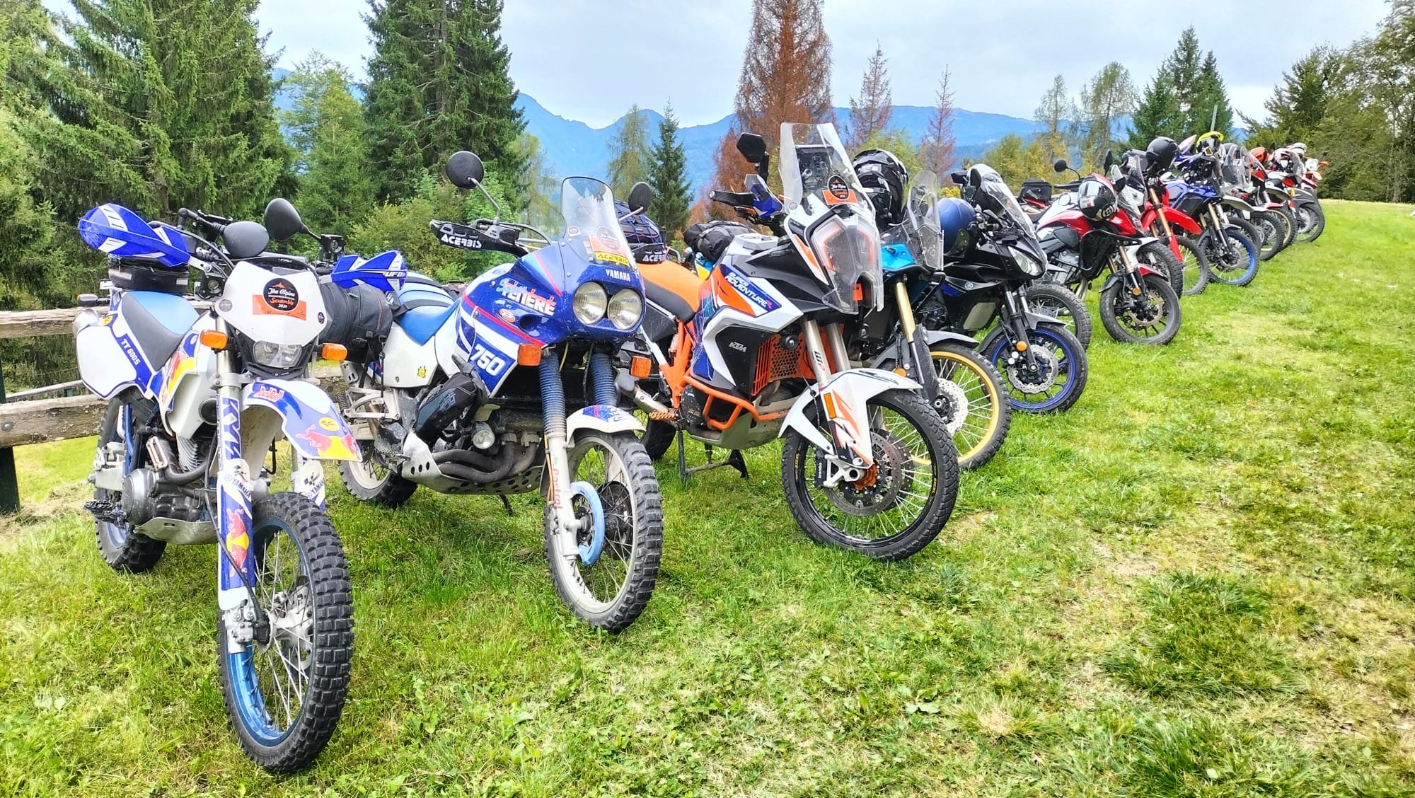 95ff7563-aa0e-4350-9e13-74a62955e2ec-1