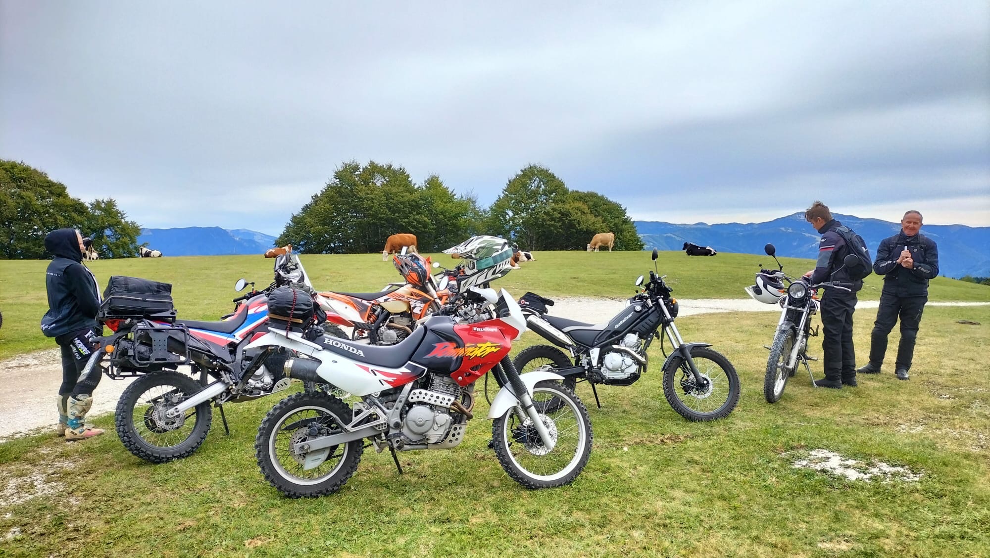 b91e6ab2-07c2-4717-ad4c-9487402a7497-1