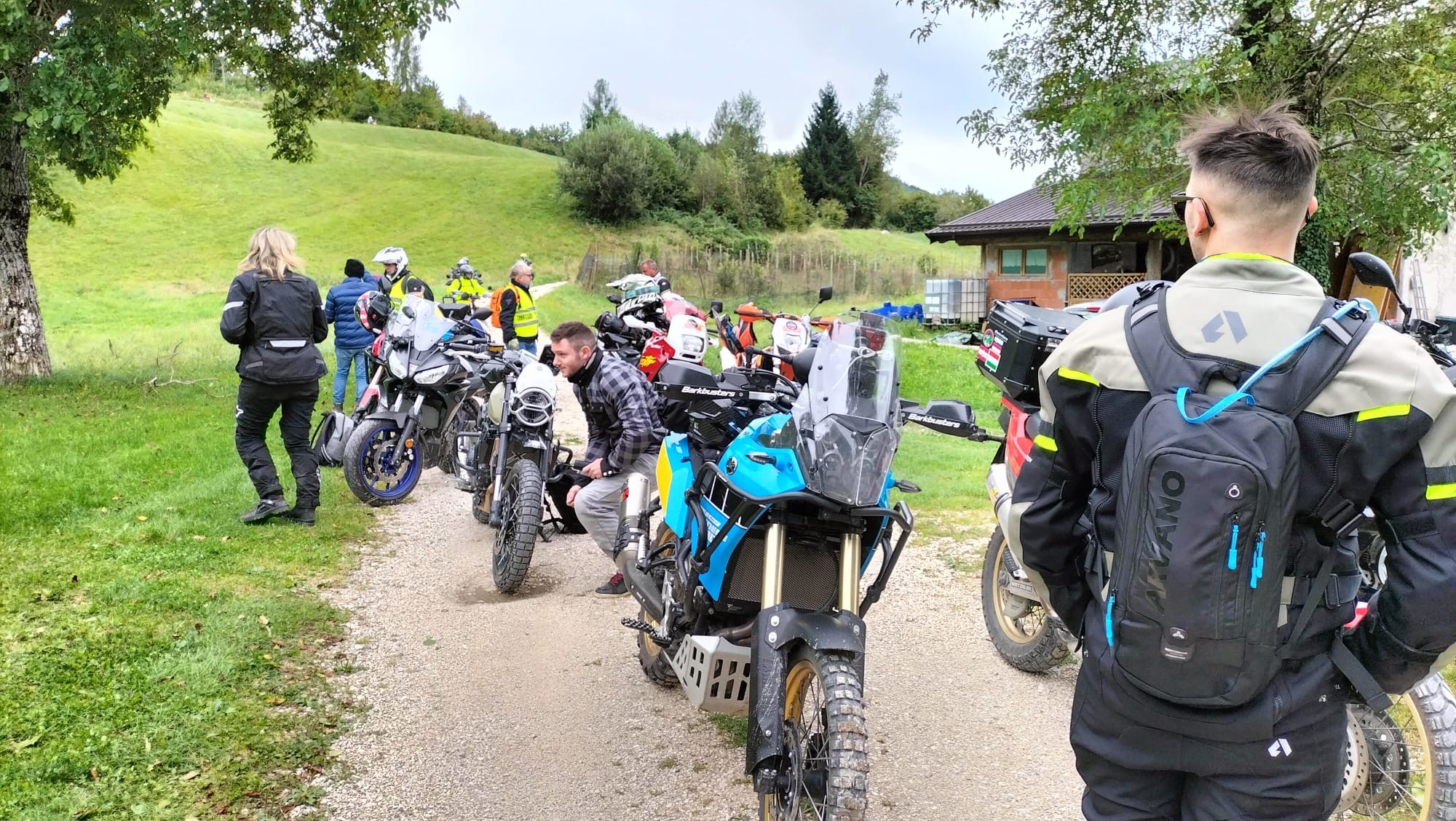 bf71d9d0-59d9-4281-8c42-bd6f1ad09b12-1