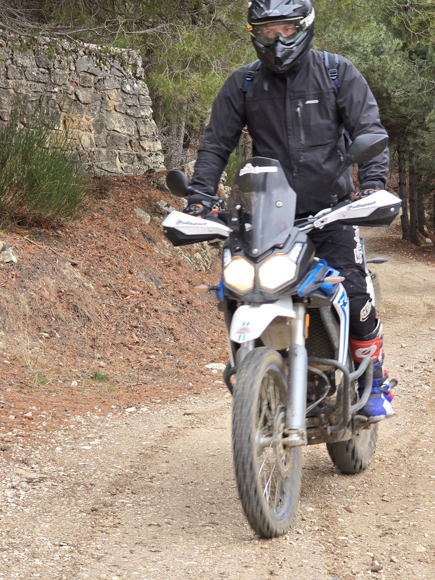 31317f60-a9e6-4847-ae8b-2ab087ba9064-1