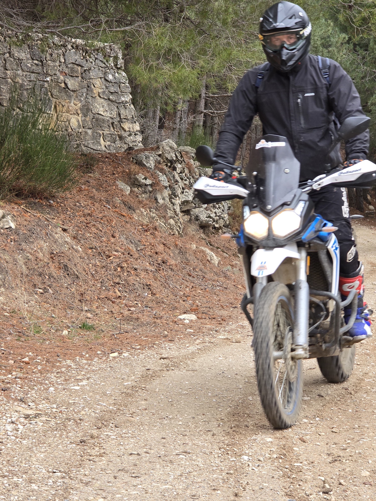 85db8d33-3e9e-4192-a0d1-b3ed47fc2362-1