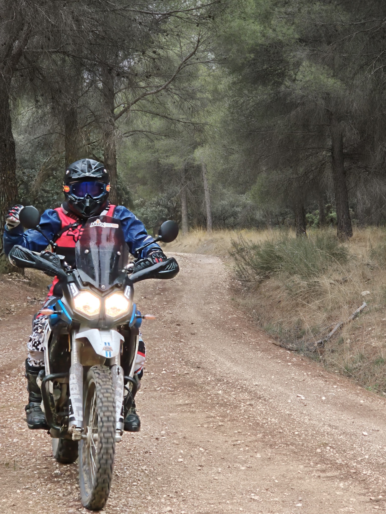 f6faecf5-e126-4933-80a9-39a80be1d3cf-1