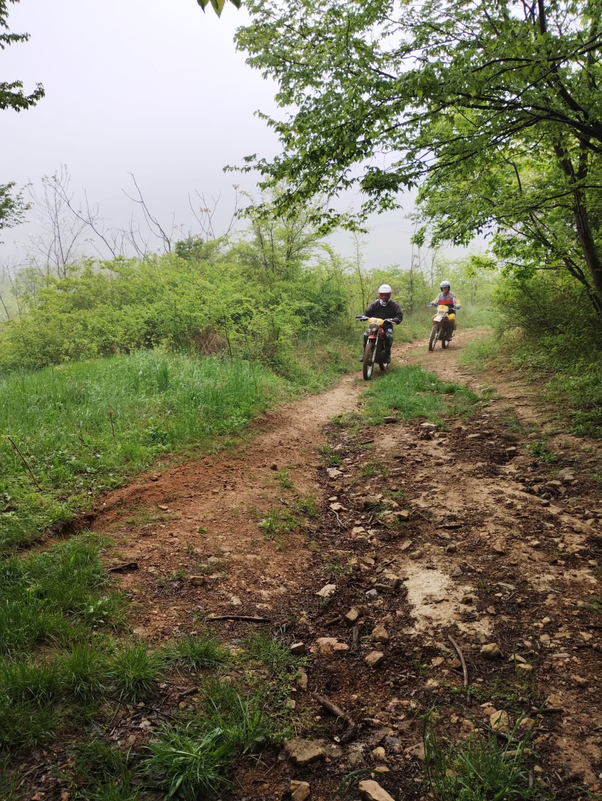 b84f5d74-361b-4151-8b55-0782acc9e756-1