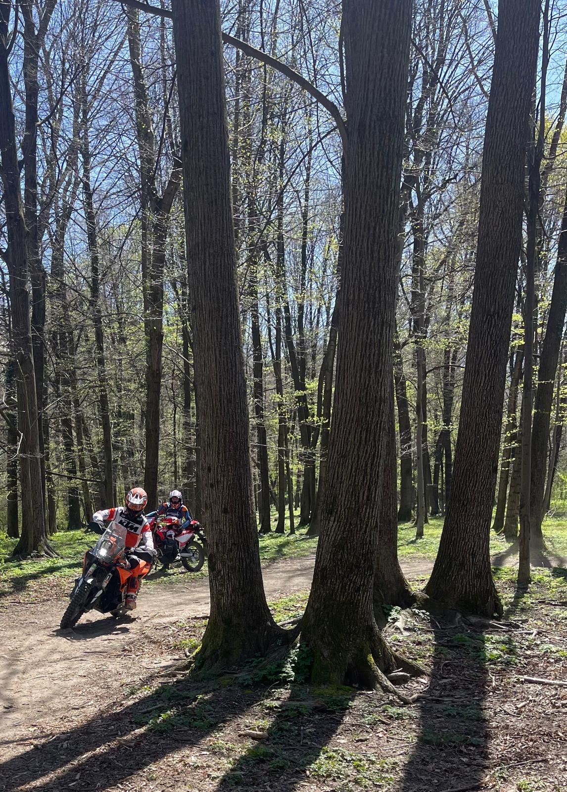 ec8f2d12-0ee6-4834-a777-d4380272268a-1