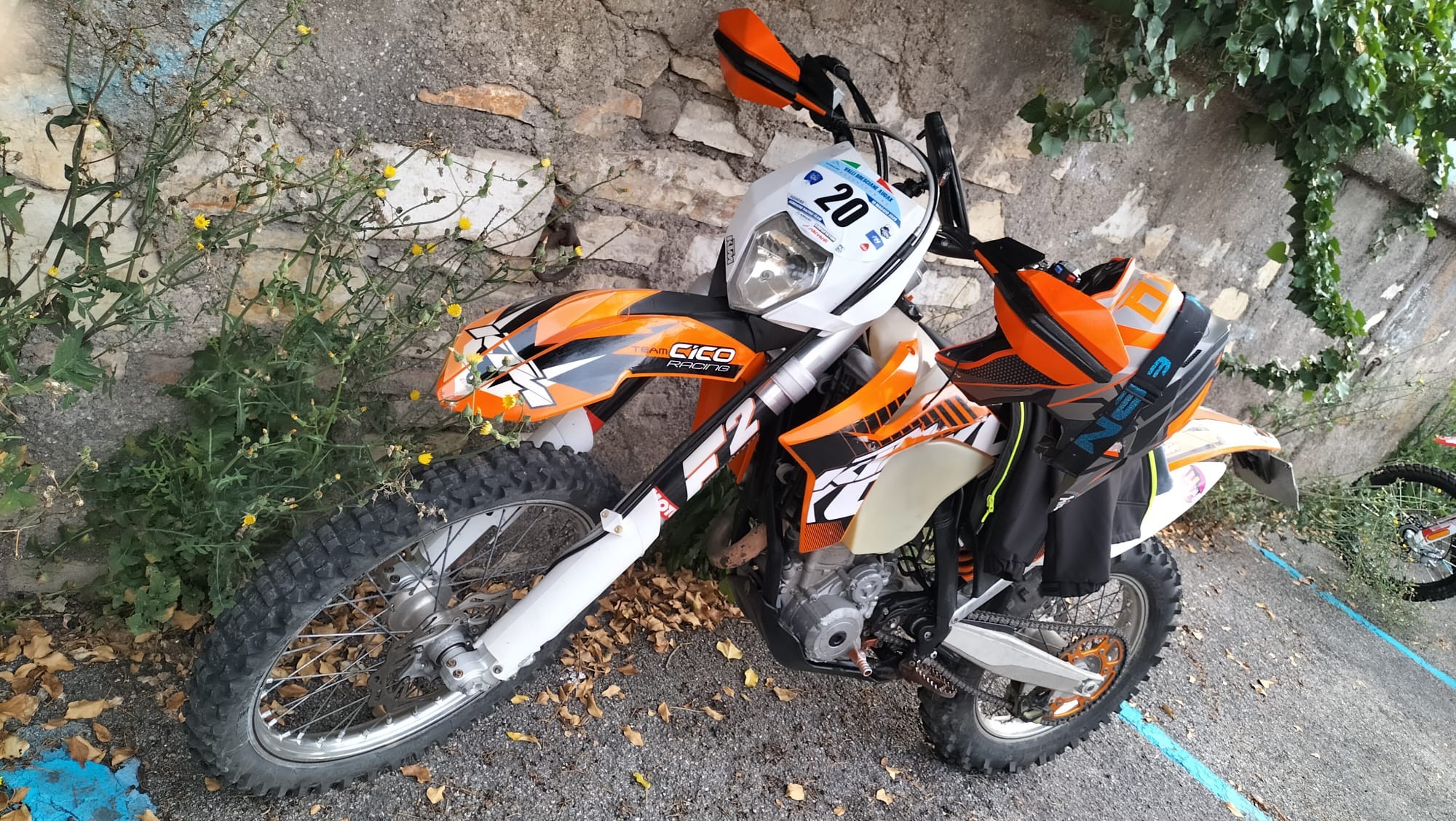 a97106cb-4988-4b63-be64-6d3f7263813f-1