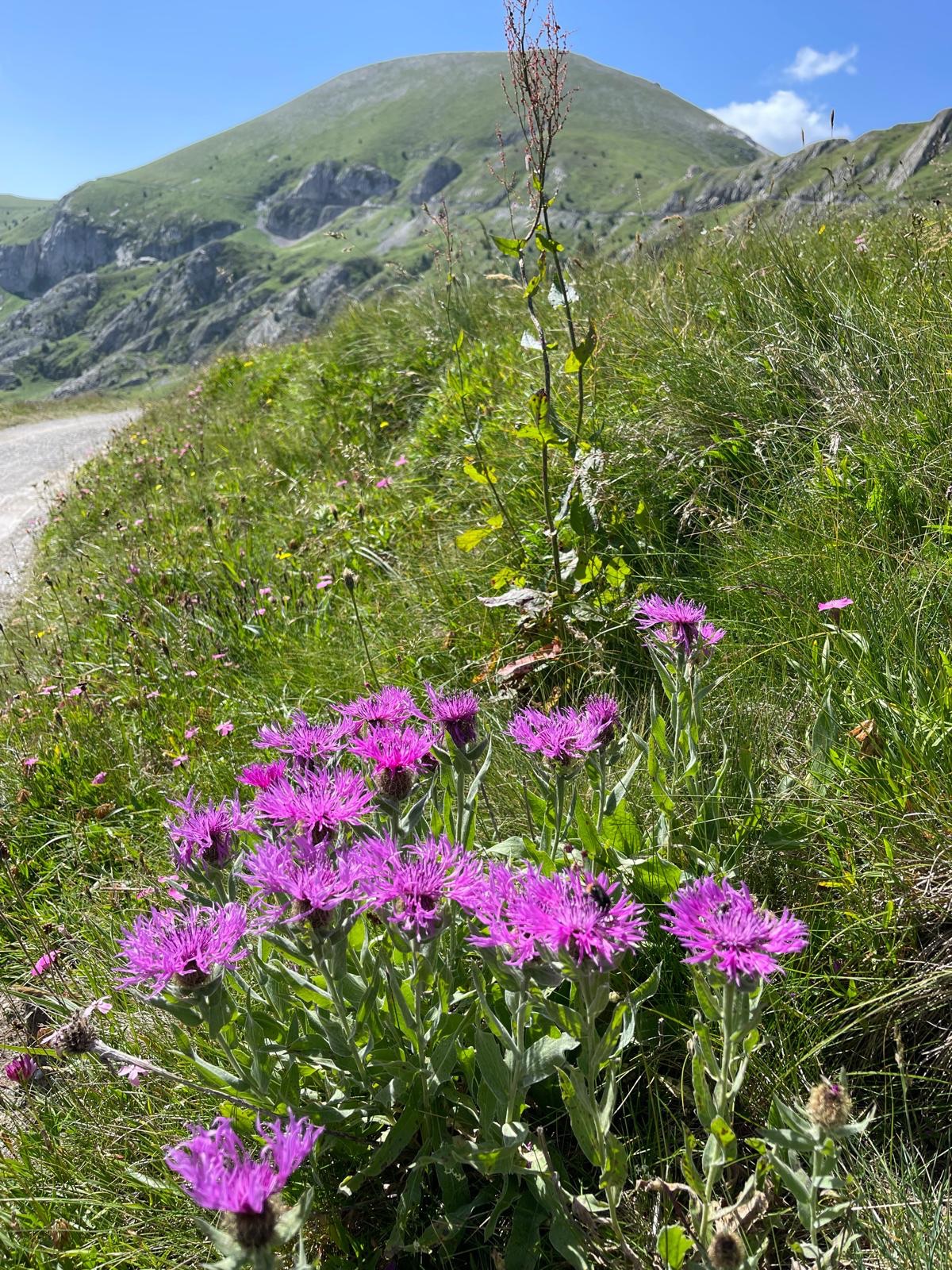 3c050571-8dab-4cfc-94db-99ed4263d00b-1