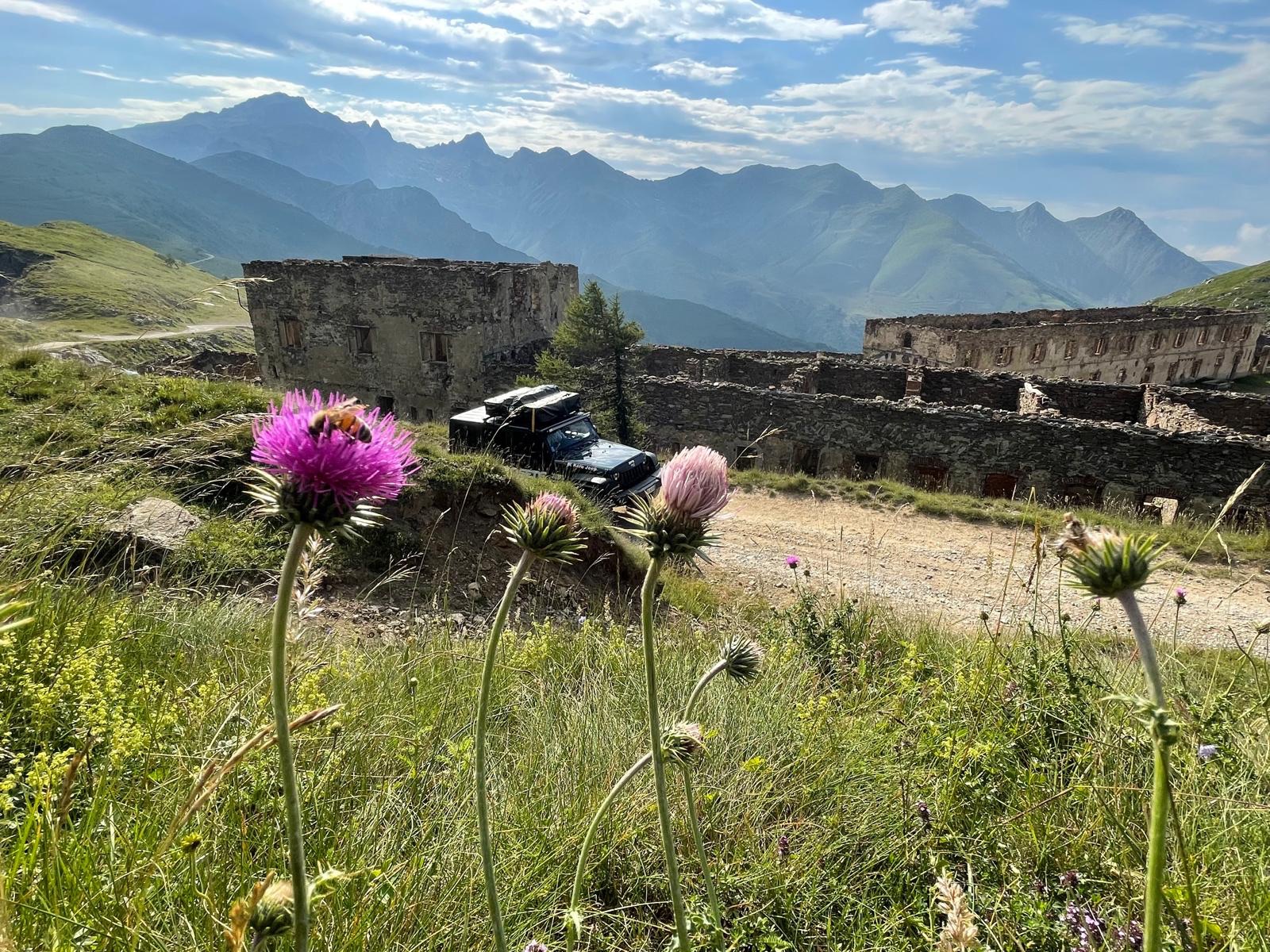 832a510b-da9e-4b9c-8587-2317d0432b1c-1