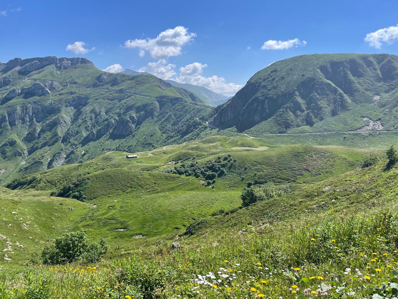 9b973299-6ed6-430b-aaca-c4a433452974-1