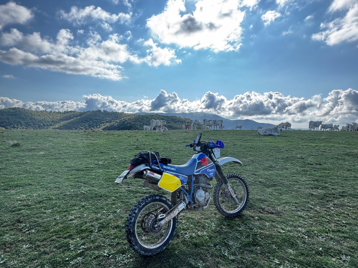 Queen Trophy 2025, passione e famiglia su due&nbsp;ruote