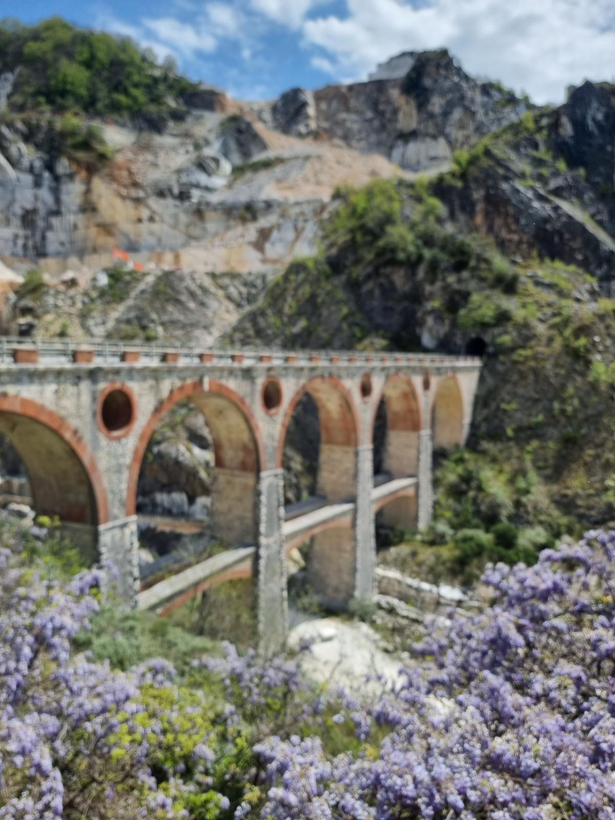 e9ad1896-55f6-47bd-8413-c314ca0f9d66